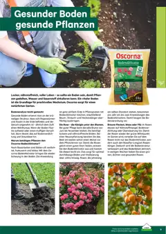 Lagerhaus  Garten und Freizeit Katalog 2026 ab 22.02.2026 gültig | Seite: 9