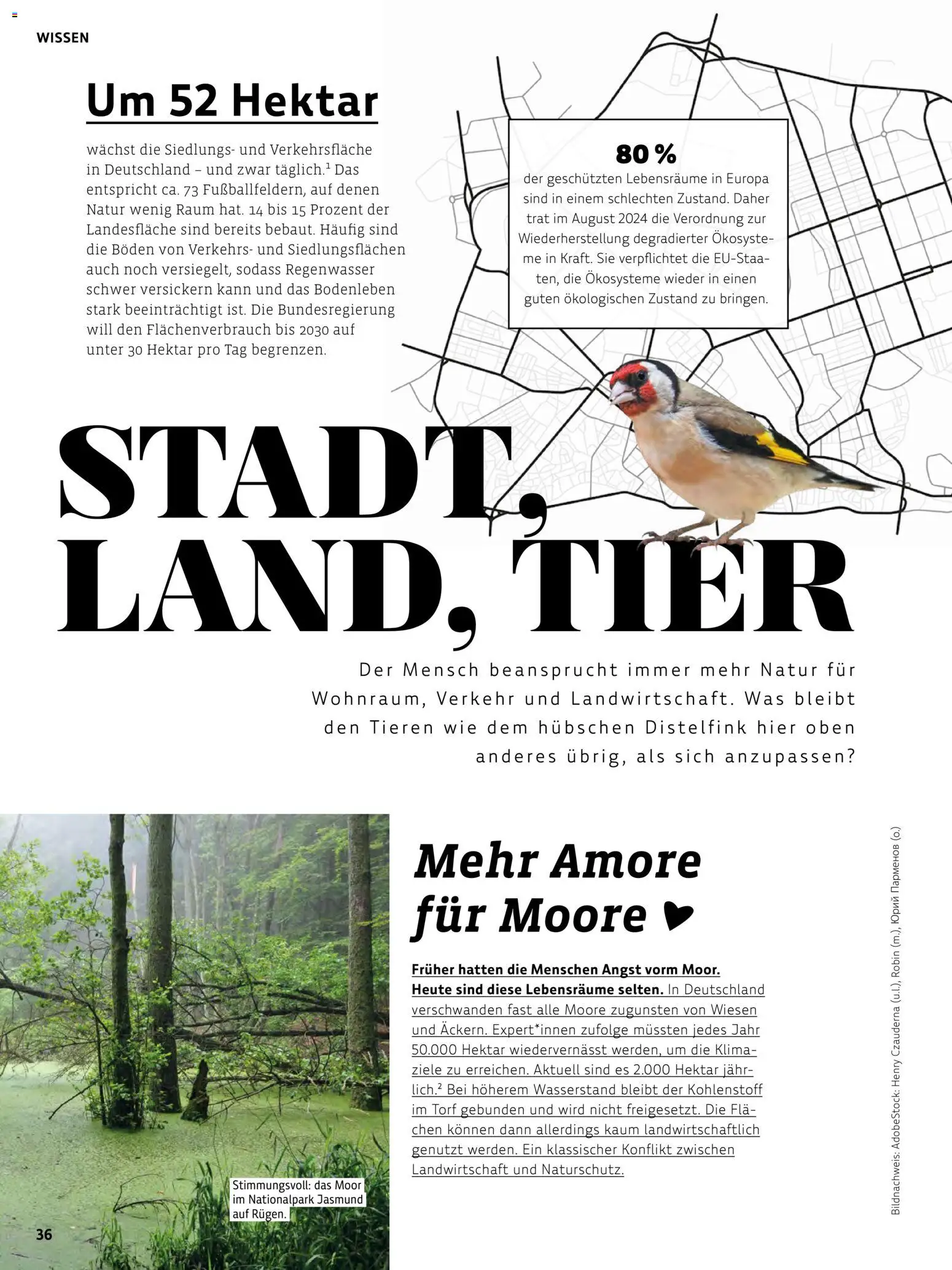 Denns BioMarkt Kreo Magazin – gültig ab 17.07.2026 | Seite: 36 | Produkte: Torf