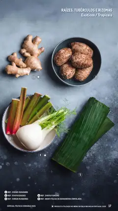 Pré-visualização Makro Especial Frutas e Verduras 2026 válido de 06.03.2026 | Página: 17