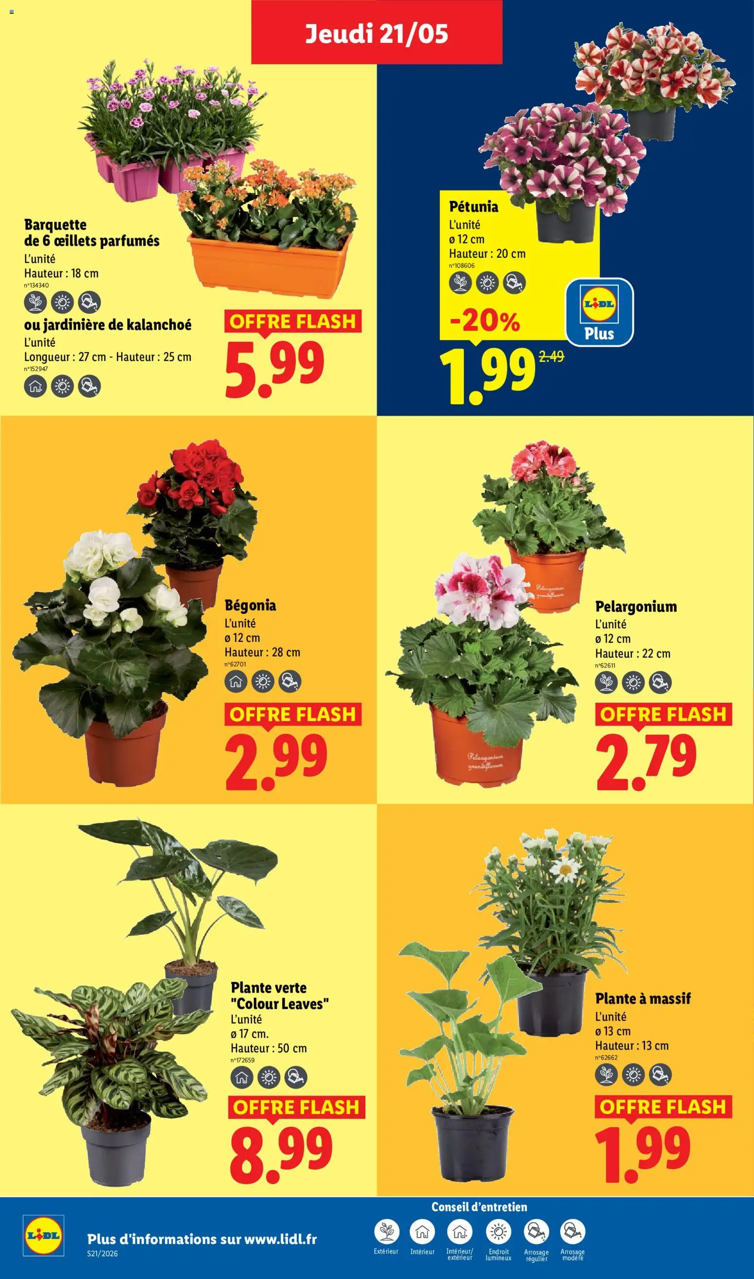{H1} | Page: 26 | Produits: Jardinière, Plante verte