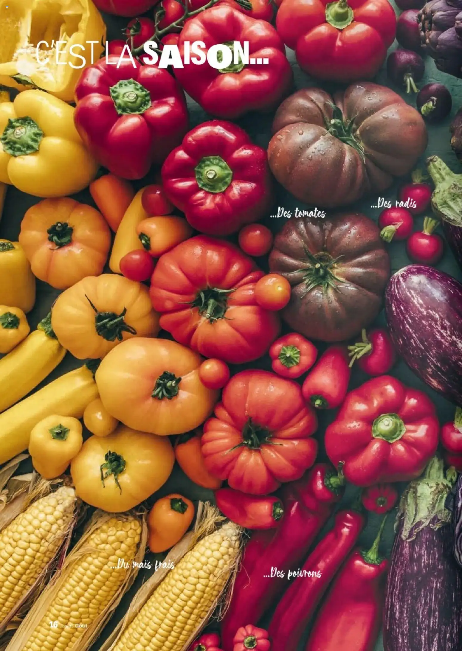 {H1} | Page: 16 | Produits: Poivrons, Radis, Mais, Tomates