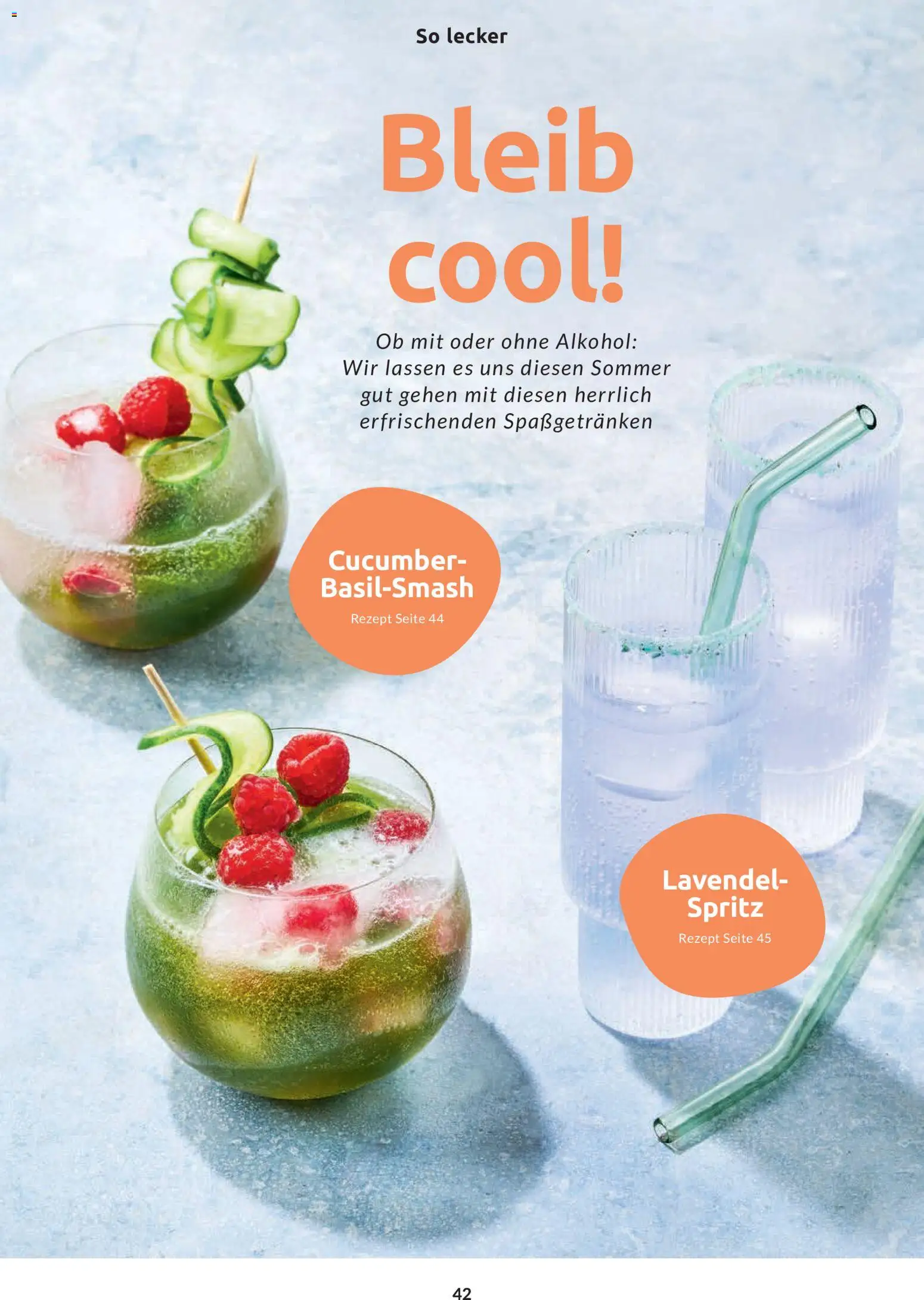 Budni Perle Magazin 04/26 – gültig ab 09.07.2026 | Seite: 50 | Produkte: Lavendel