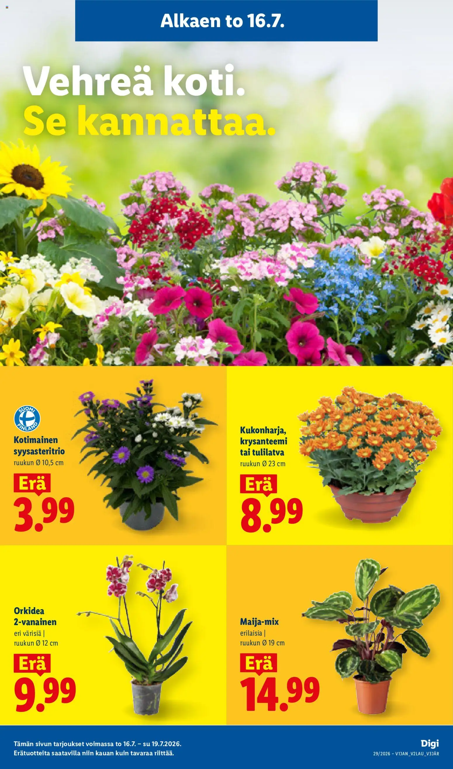 Lidl tarjoukset – voimassa 16/07/2026 alkaen | Sivu: 15