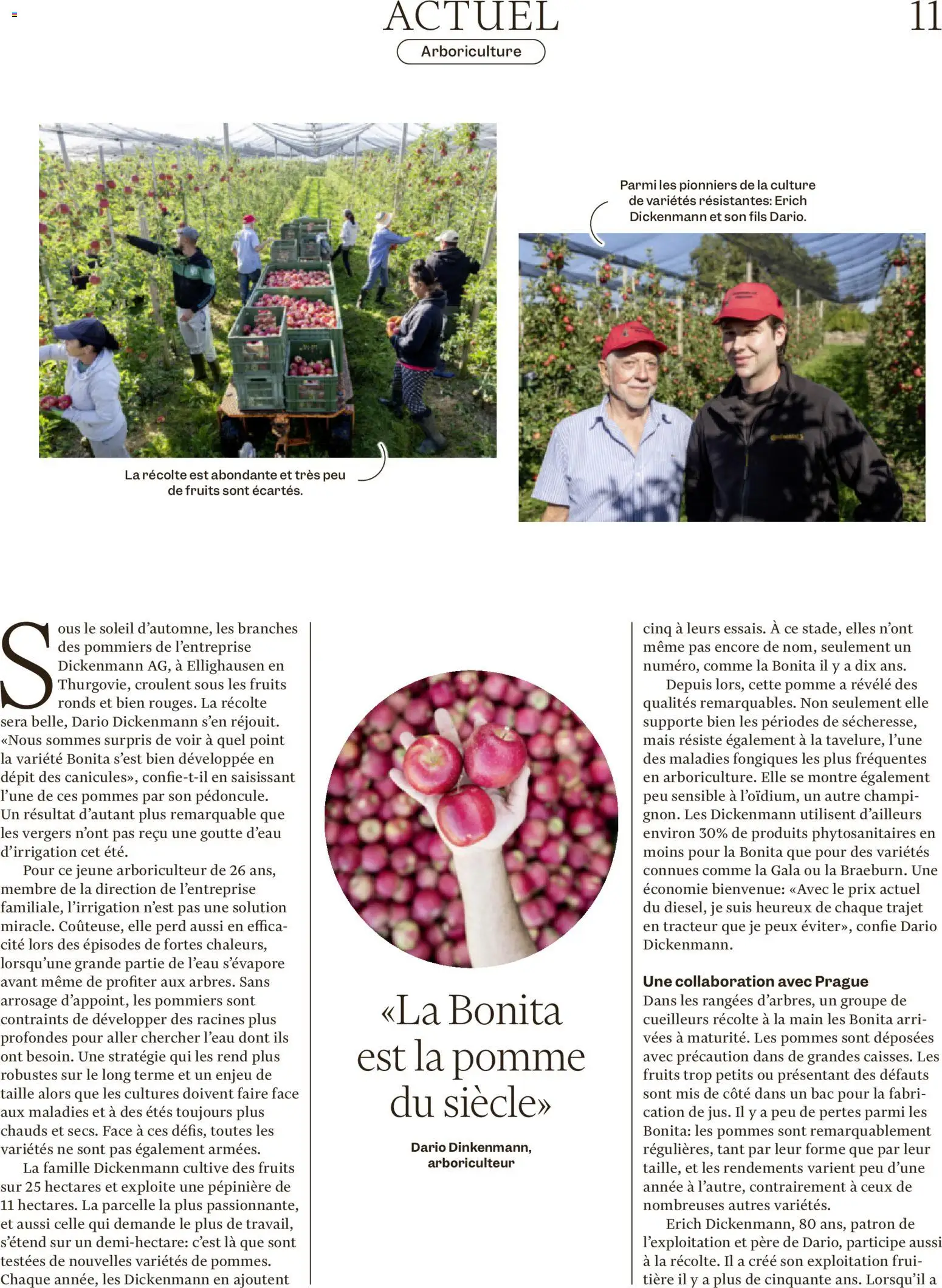 Migros aktionen Magazine FR – gültig ab 21.10.2026 | Seite: 11 | Produkte: Mais, Apple