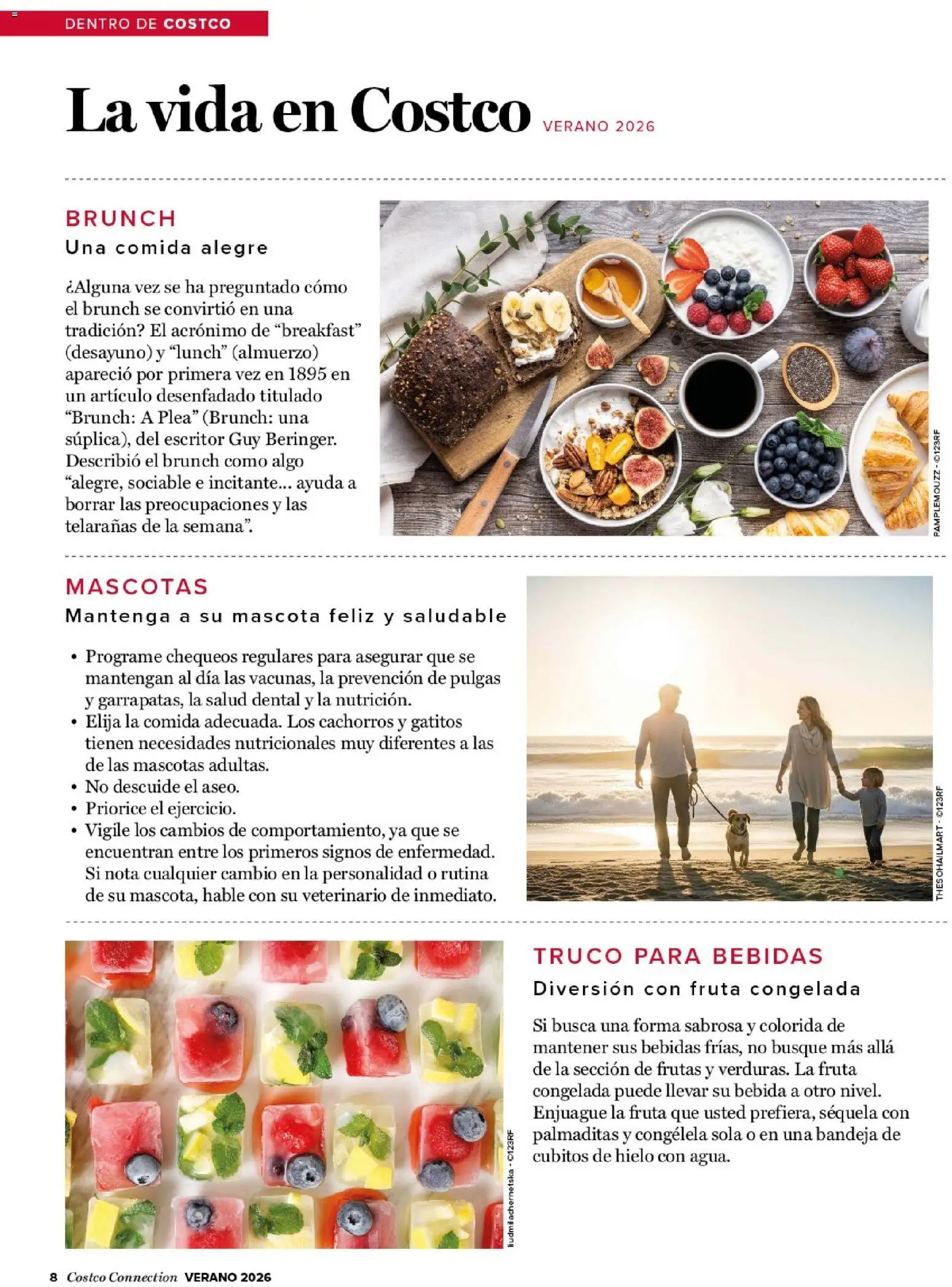 Costco catálogo │ válido desde el 15.06.2026 | Página: 8 | Productos: Ηλεκτρονικα ειδη, Αφυγραντήρας, Bandeja