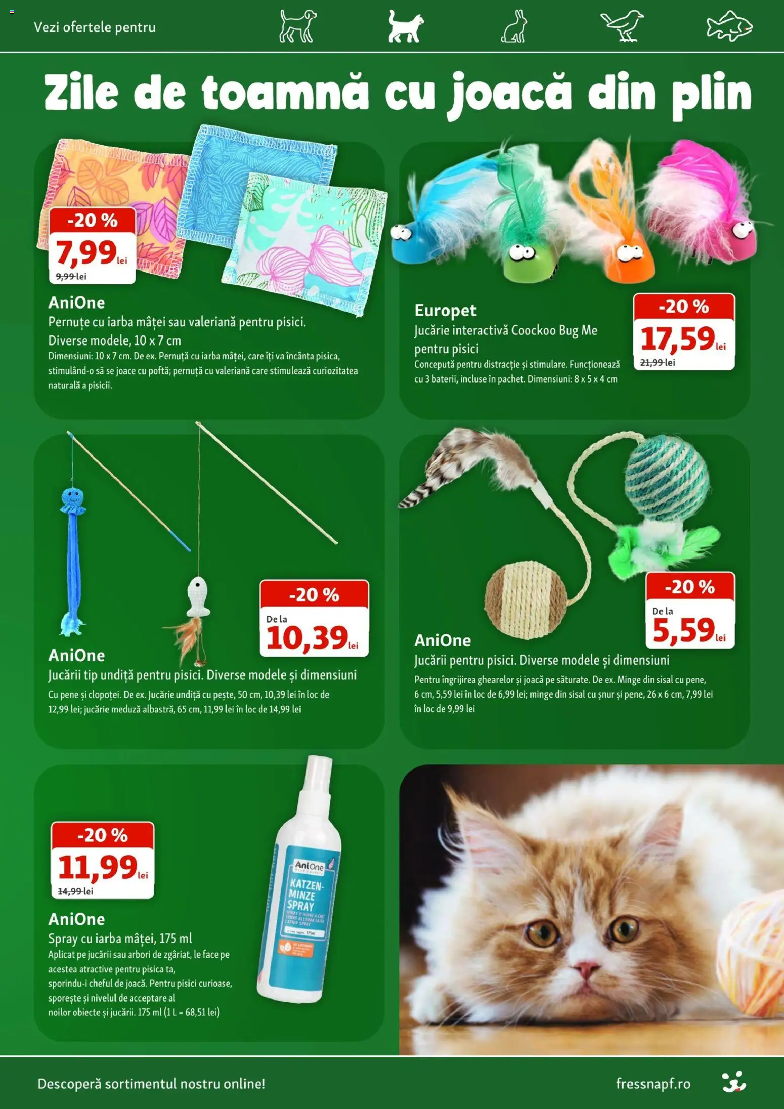Noul catalog Fressnapf – valabil de la 08.10.2026 | Pagină: 13 | Produse: Tip