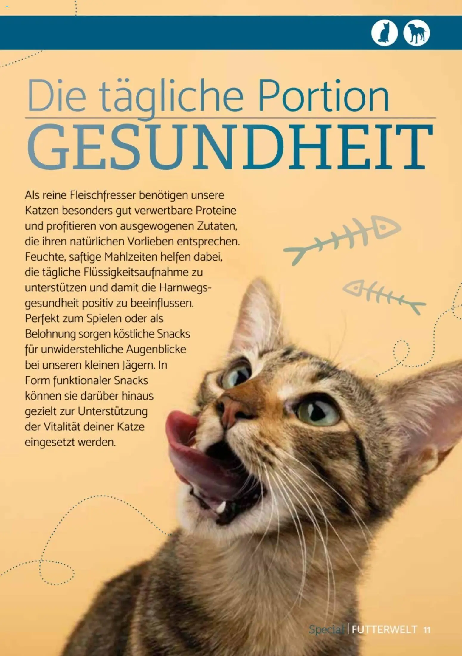 zookauf Heimtier Journal Special – gültig ab 01.08.2026 | Seite: 11