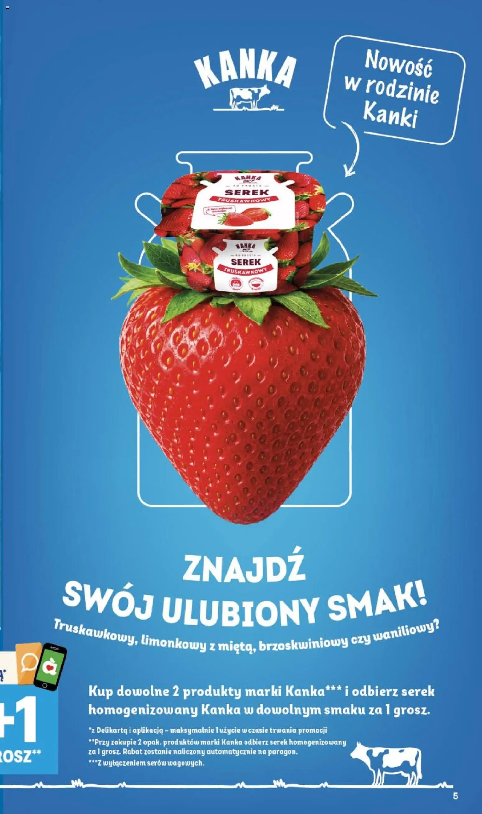 Delikatesy Centrum gazetka - Sklepy Własne od 13.08.2026 | Strona: 5 | Produkty: Serek homogenizowany, Serek