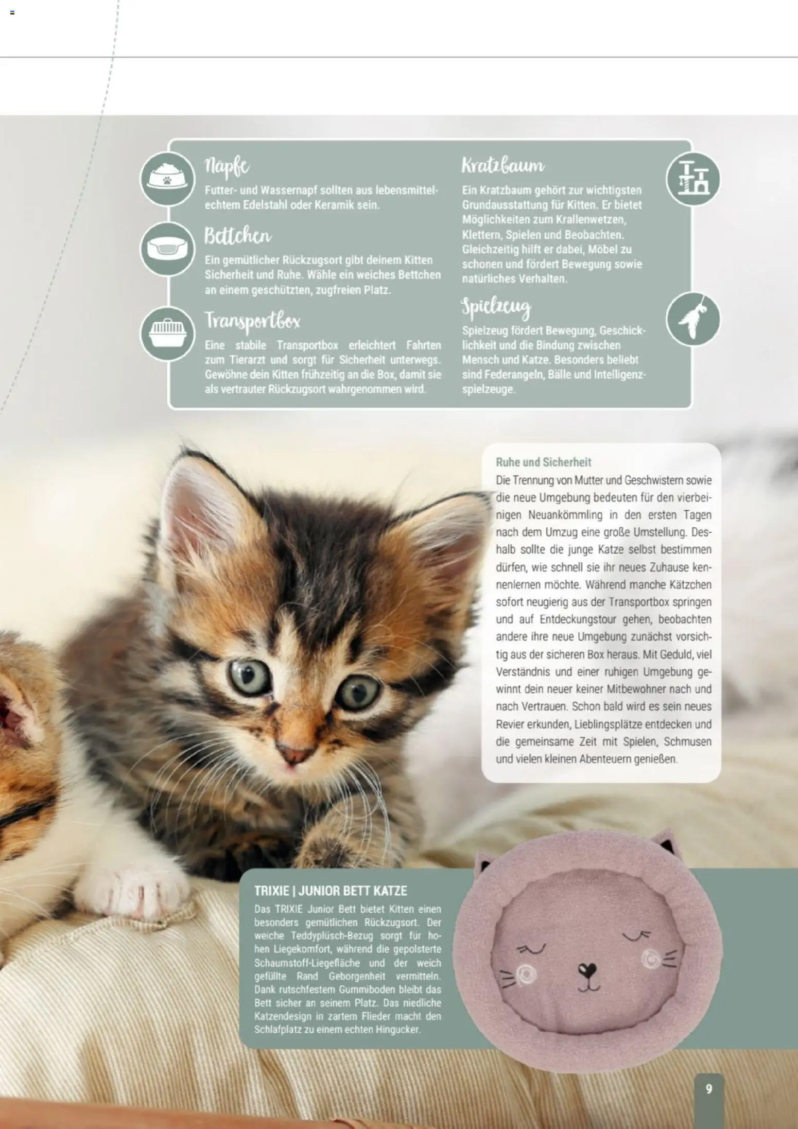 zookauf Themenkatalog Katze – gültig ab 01.10.2026 | Seite: 9 | Produkte: Bett, Box