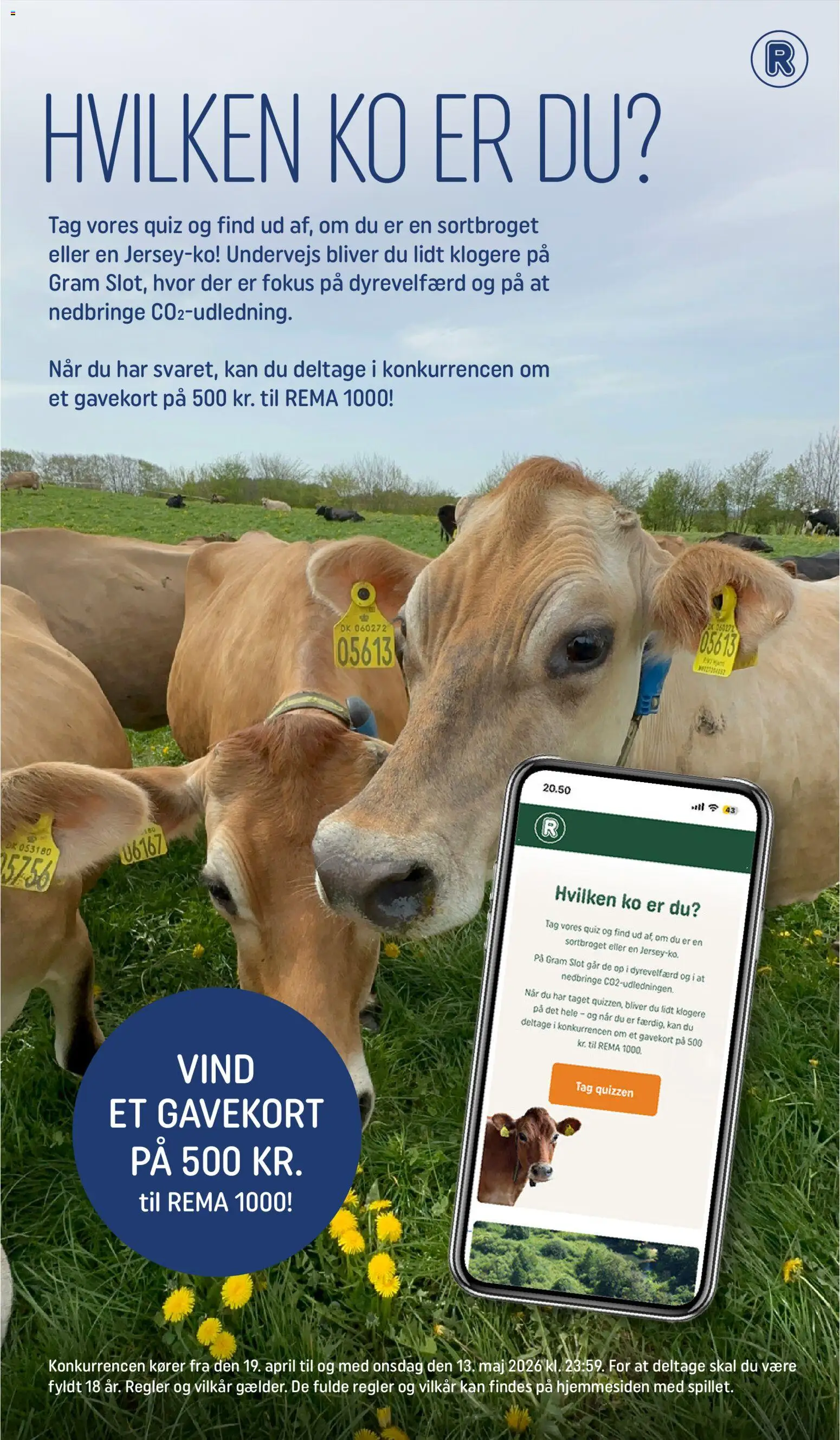 Rema 1000 tilbudsavis – gyldig fra 18.04.2026 | Side: 24