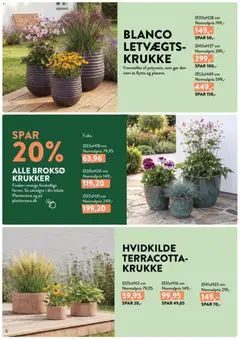 Plantorama - Smugkig avisen gyldig fra 08.05.2026 | Side: 6 | Produkter: Krukke, Søm