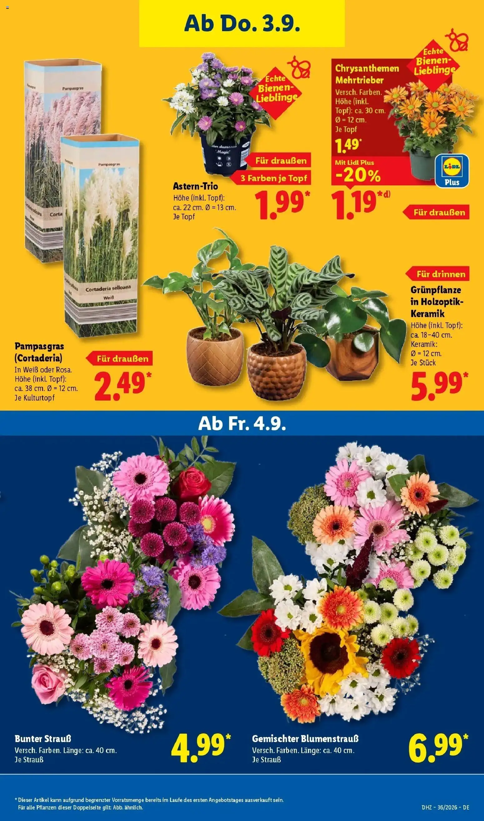 Lidl Prospekt Künzell (ab 31.08.2026) zum Blättern » Angebote | Seite: 27