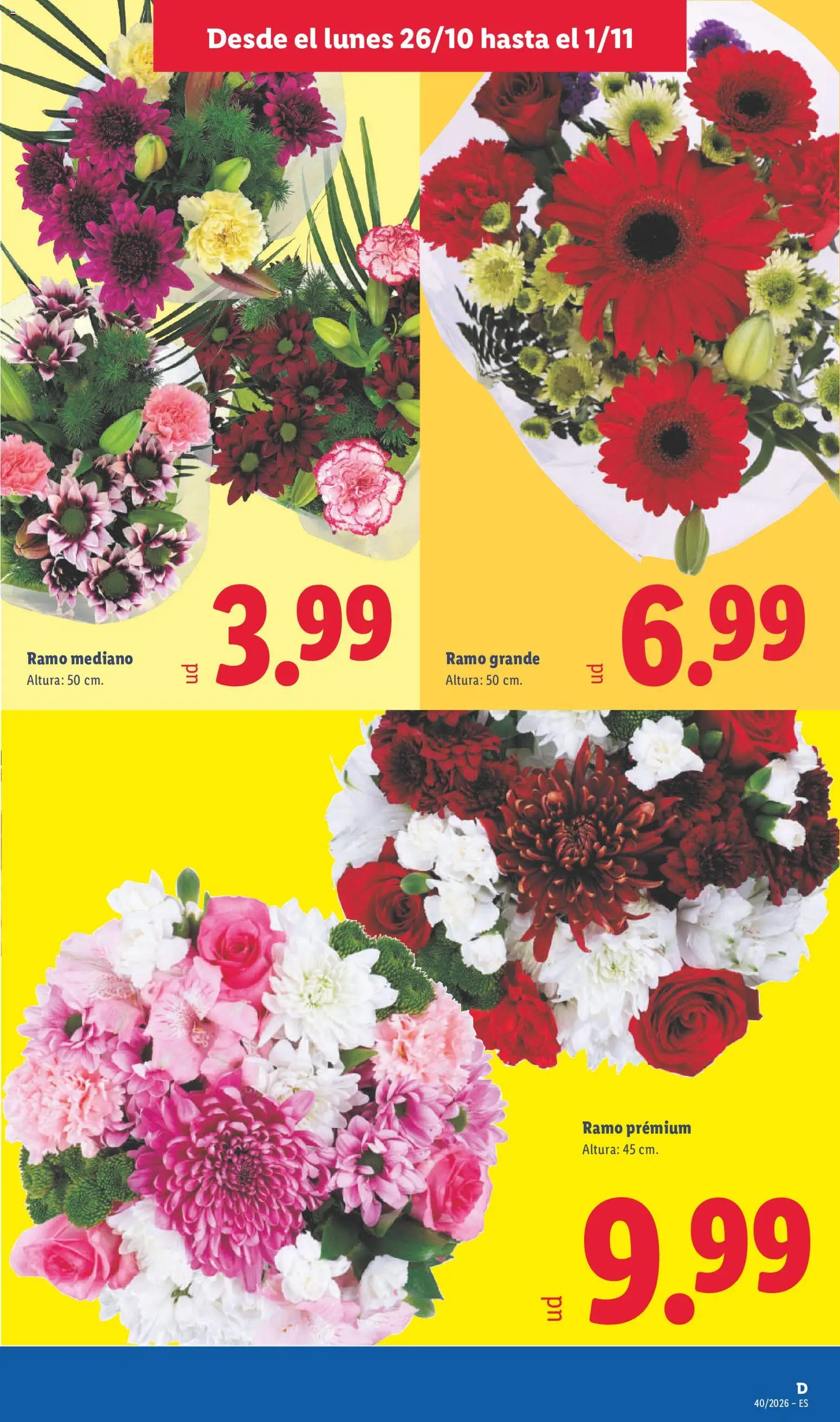 Lidl folleto │ válido desde el 26/10/2026 | Página: 49