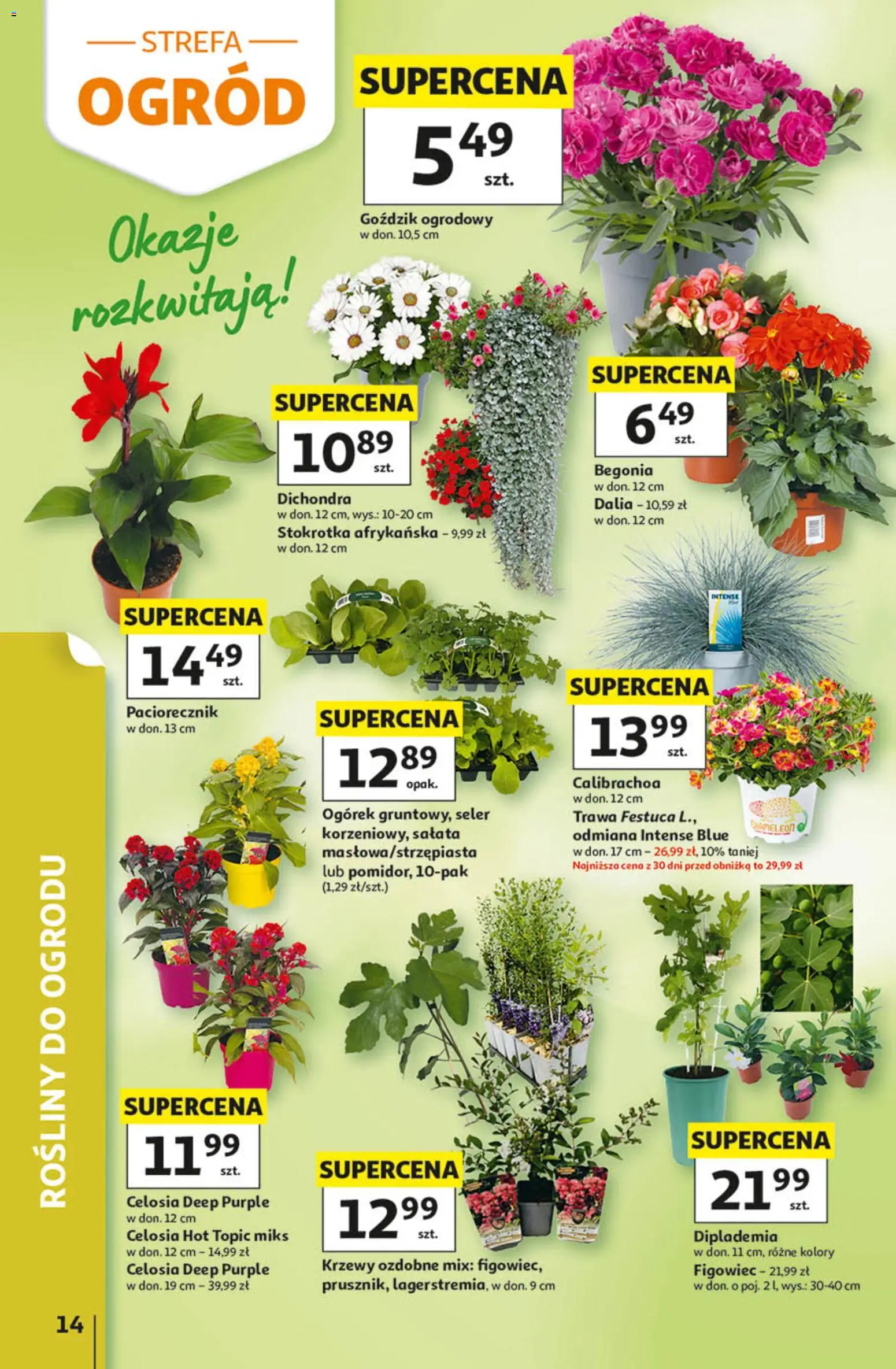 Auchan gazetka - 30 Lat Hipermarket od 14.05.2026 | Strona: 14