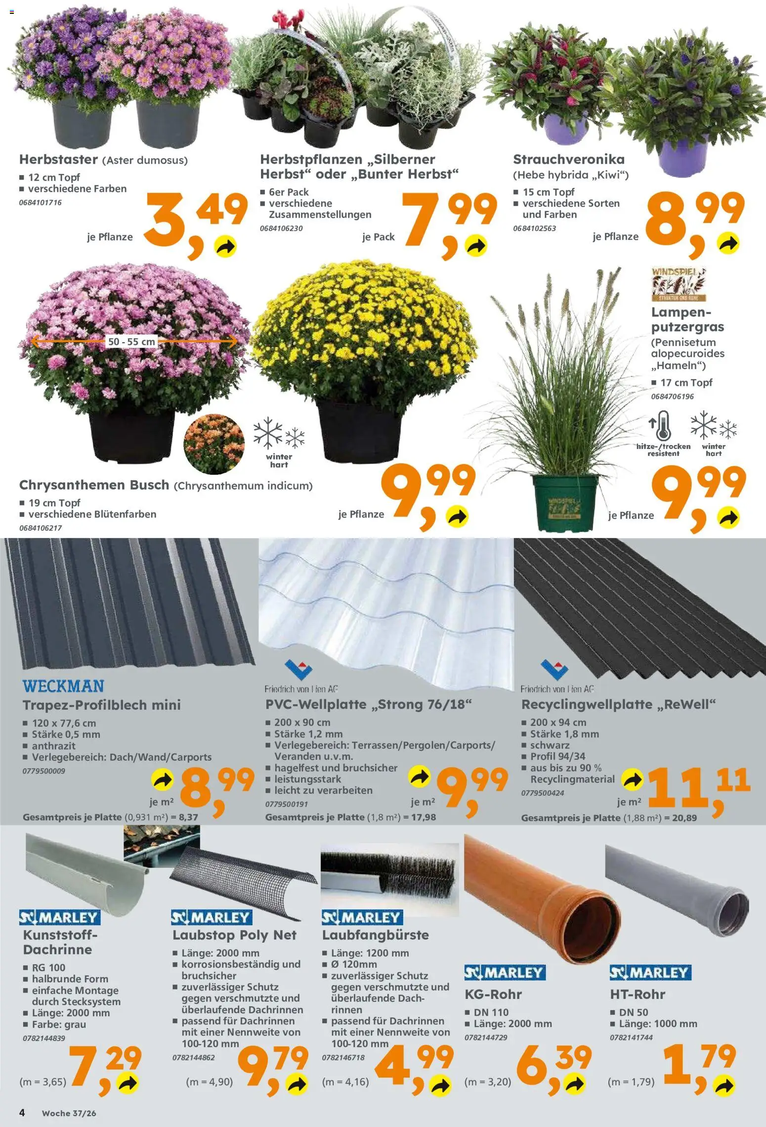 Globus Baumarkt Prospekt – gültig ab 07.09.2026 | Seite: 4