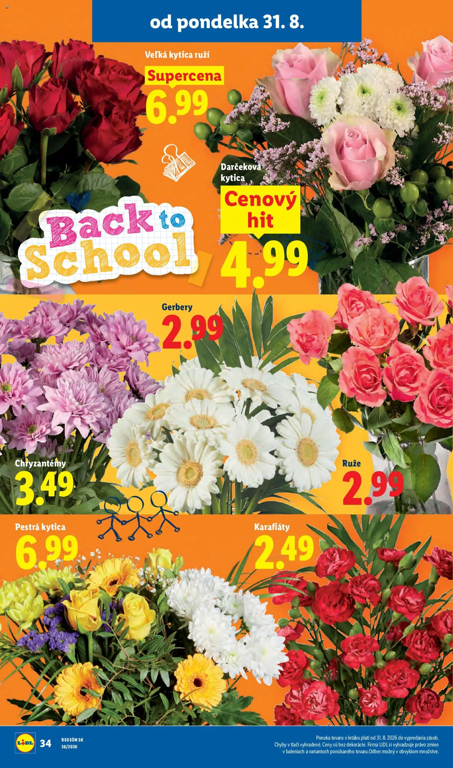 Nové Lidl akcie – leták je platný od 31.08.2026 | Strana: 48 | Produkty: Ruže