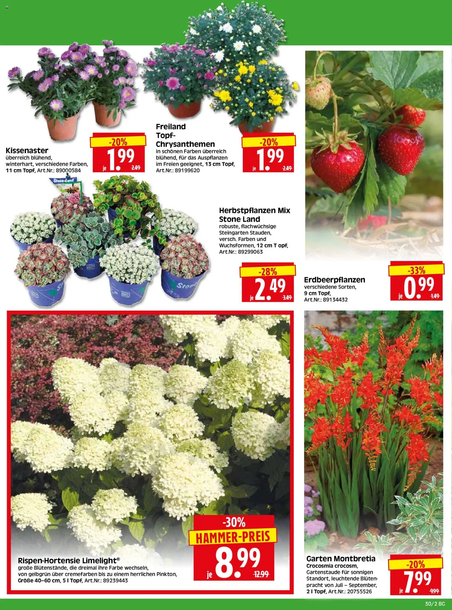 HERKULES Bau & Garten – gültig ab 20.07.2026 | Seite: 2