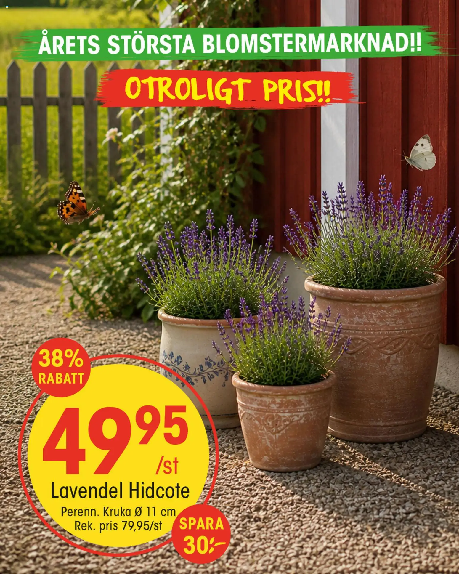EKO reklamblad aktuell från 11.05.2026 | Sida: 9 | Produkter: Lavendel, Kruka