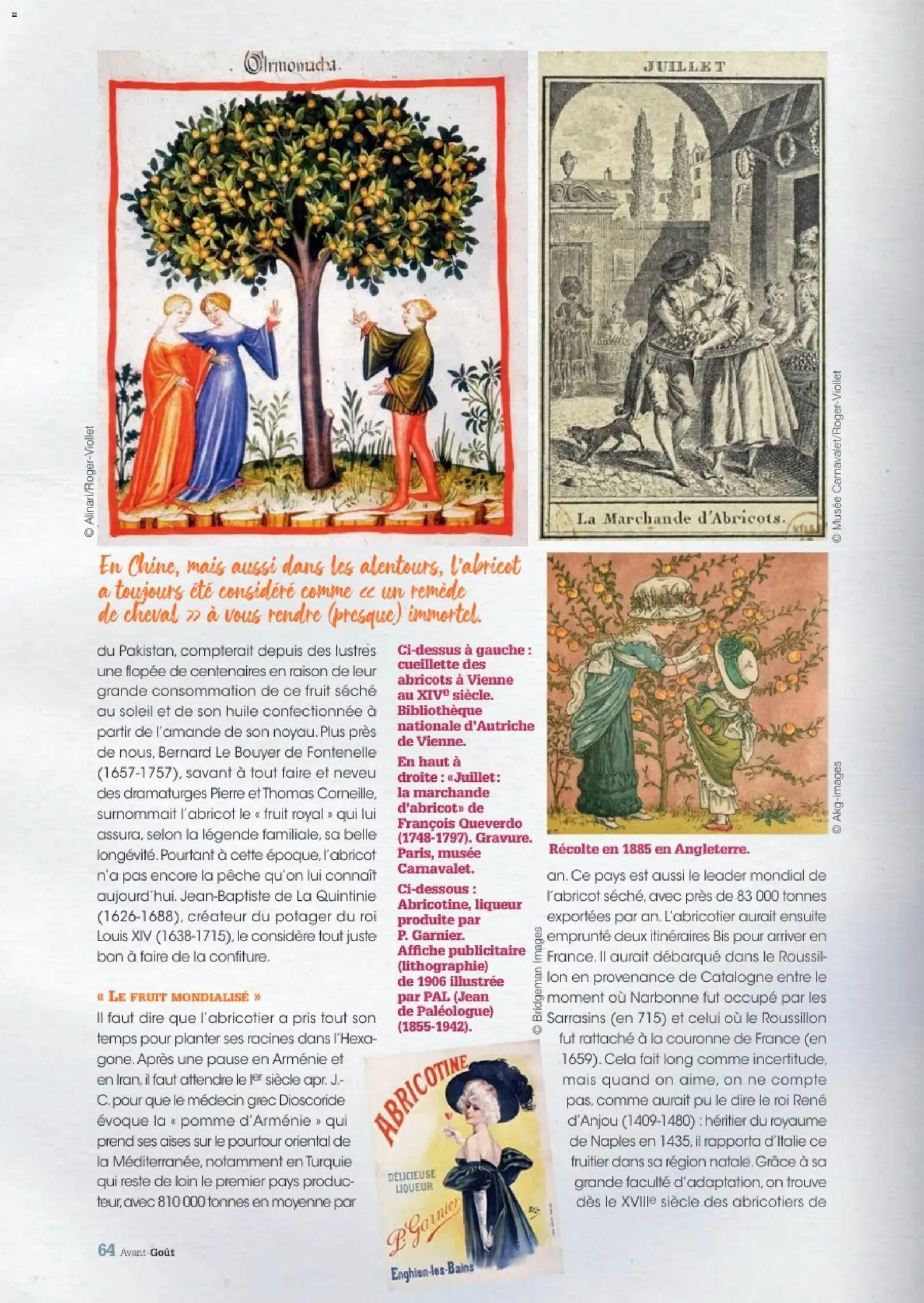 {H1} | Page: 64 | Produits: Pomme, Mais, Abricots, Huile