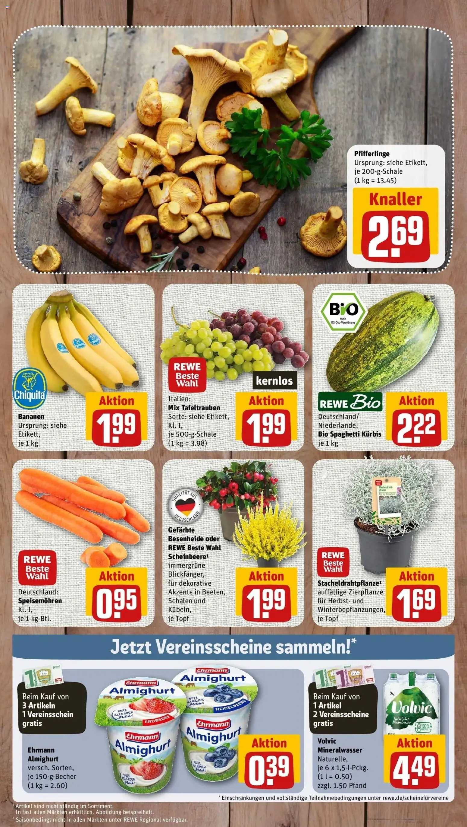 REWE Prospekt ab 14.09.2026 zum Blättern » Angebote | Seite: 3