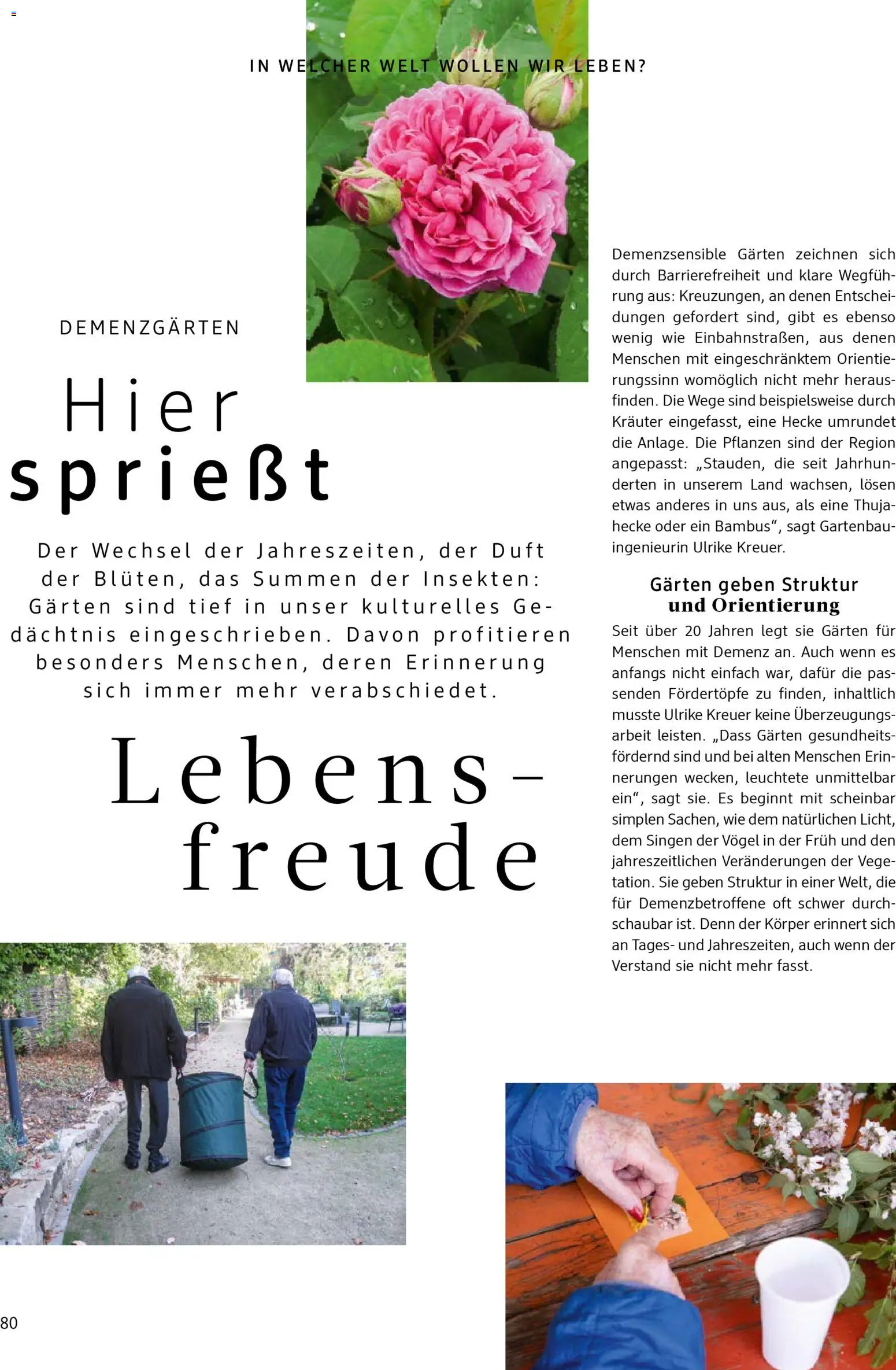 dm drogerie Prospekt 	 – gültig ab 01.04.2026 | Seite: 80 | Produkte: Duft