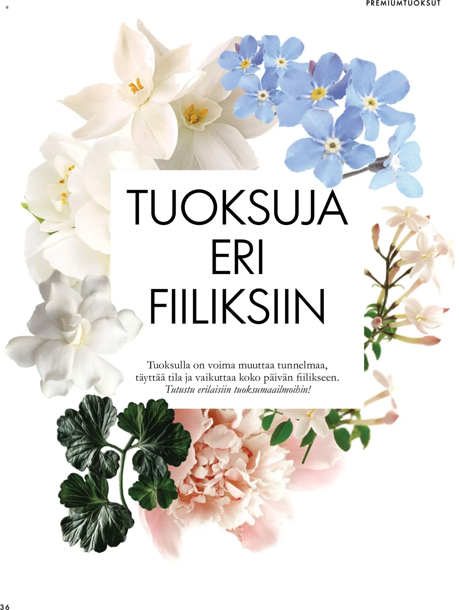 Oriflame tarjoukset – voimassa 18/11/2026 alkaen | Sivu: 36