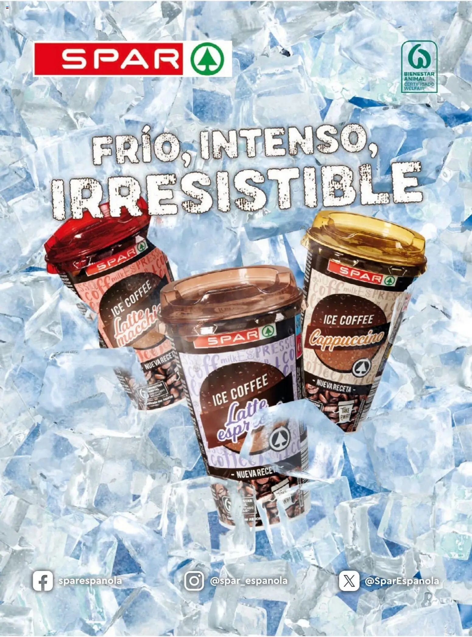 Spar folleto │ válido desde el 07/08/2026 | Página: 8