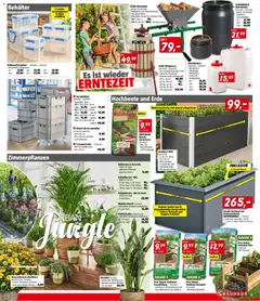 Bauhaus Prospekt aktuell ab 19.08.2026 gültig | Seite: 21 | Produkte: Korb