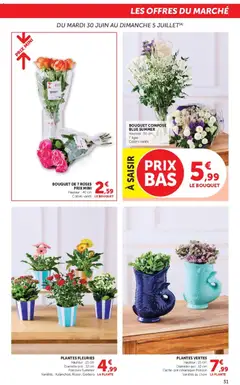 Hyper U - Prévisualisation de Hyper U - Les prix bas de la semaine valide à partir de 30/06/2026 | Page: 31 | Produits: Plantes, Poisson