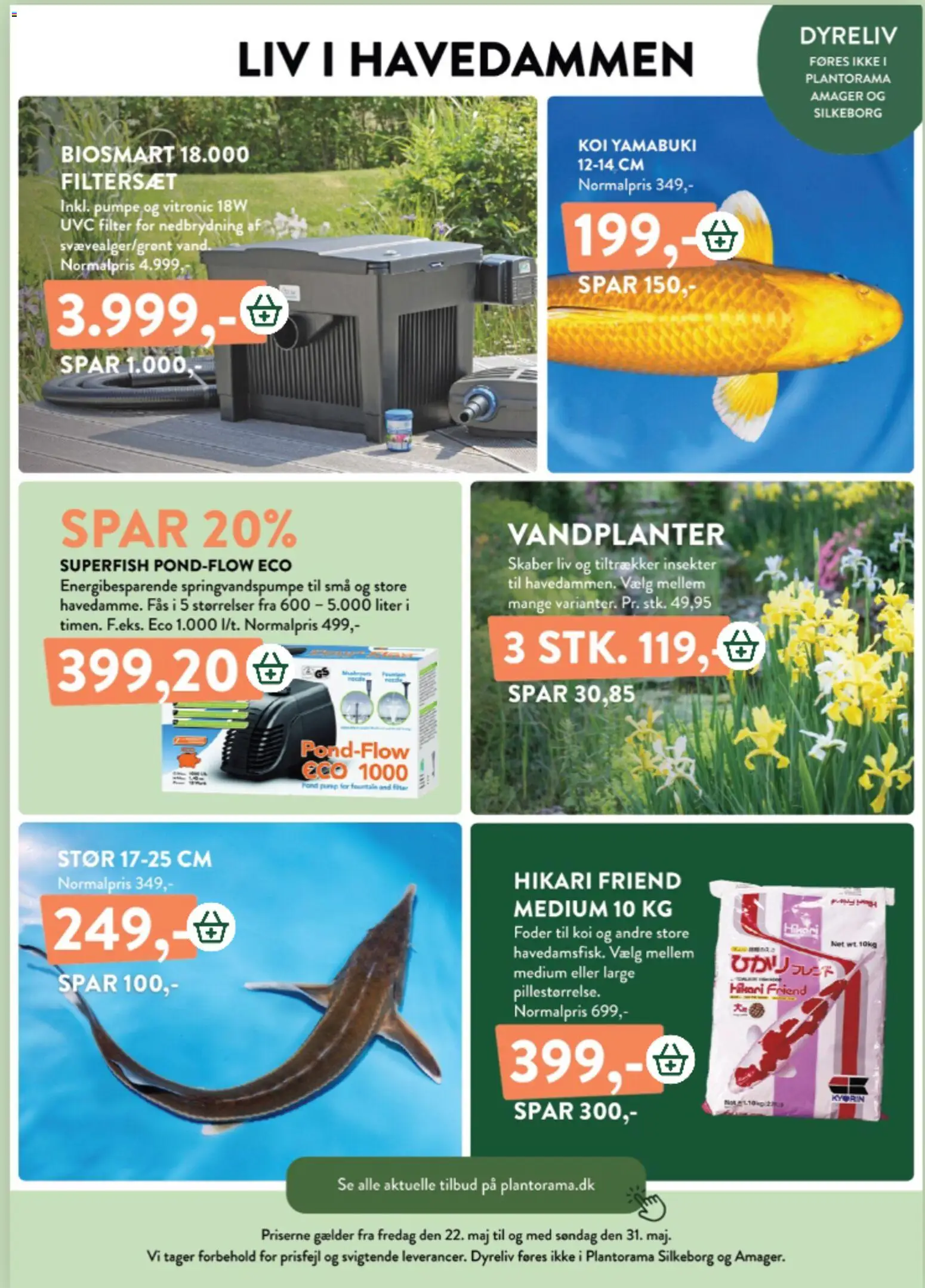 Plantorama tilbudsavis – gyldig fra 22.05.2026 | Side: 12