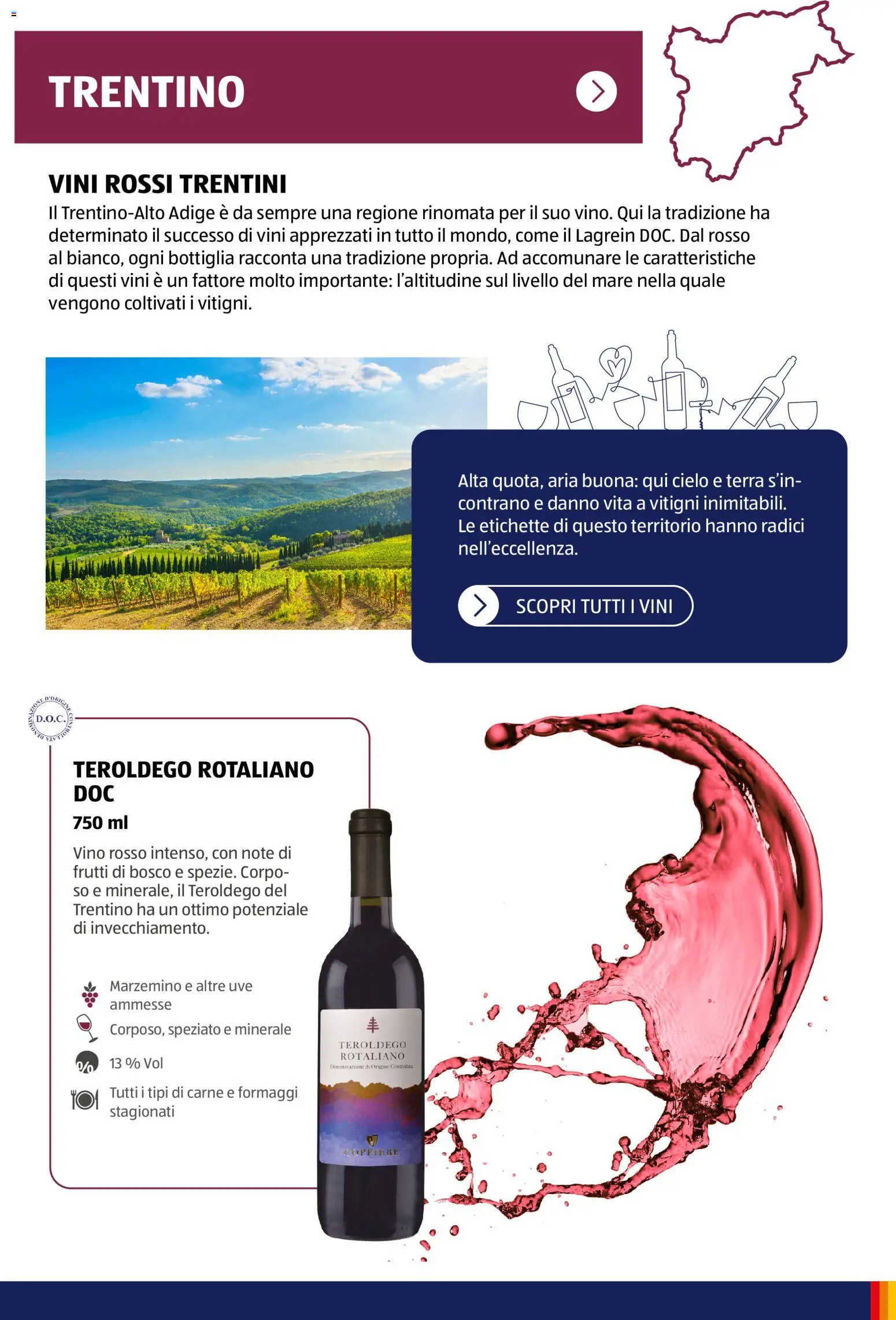 Volantino Aldi del 12/01/2026 | Pagina: 17 | Prodotti: Vino, Carne, Bottiglia, Terra