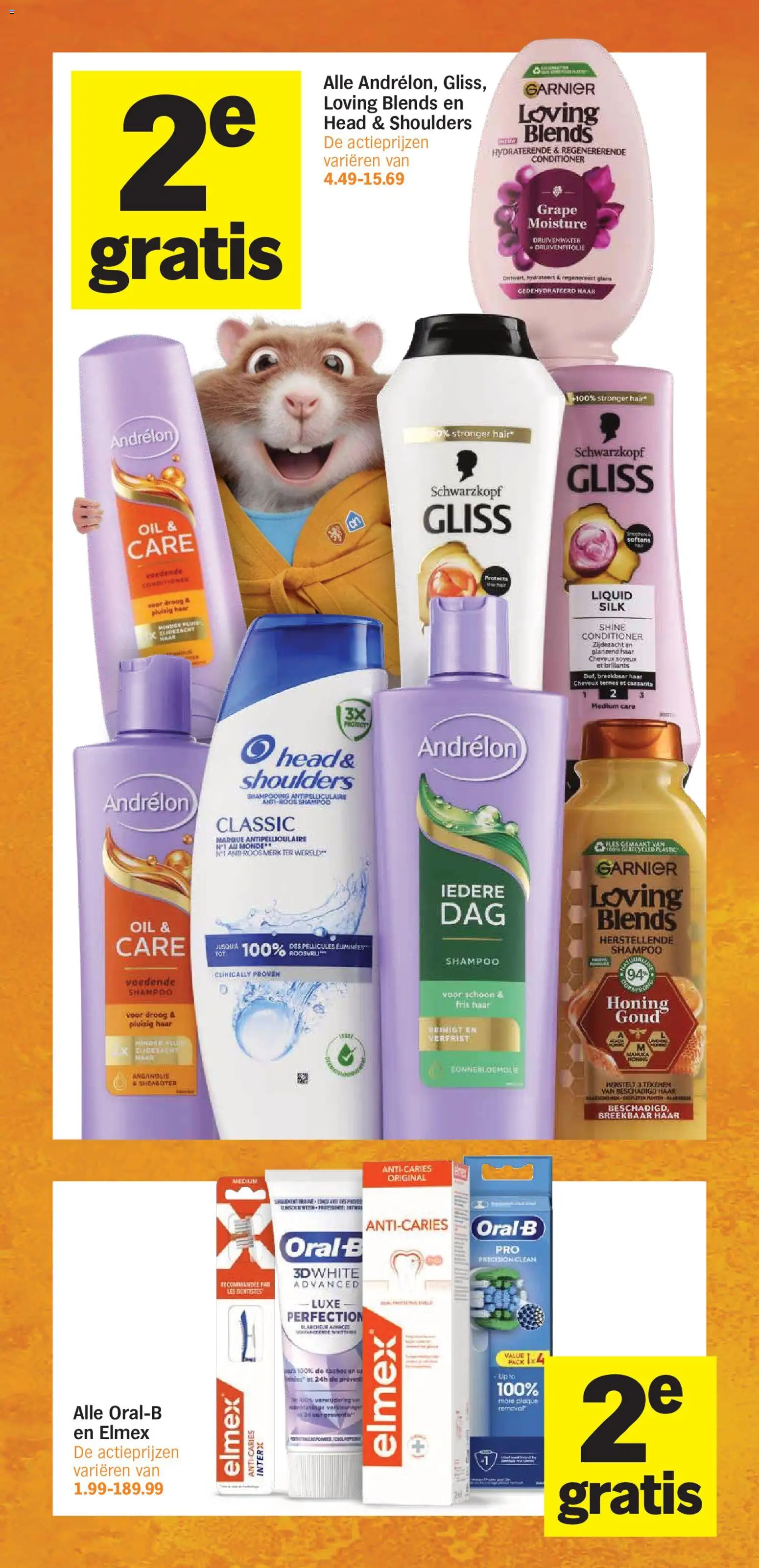 {H1} | Pagina: 13 | Producten: Shampoo, Conditioner