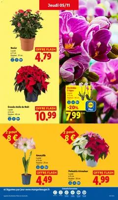 LIDL - Prévisualisation de LIDL catalogue valide à partir de 05/11/2026 | Page: 31