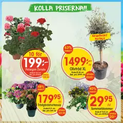 EKO erbjudanden - Förhandsvisning av reklamblad från butik EKO aktuell från 04.05.2026