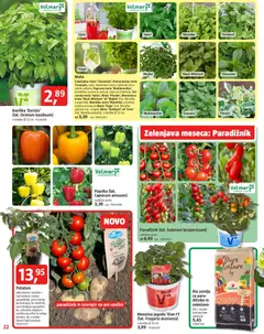 Bauhaus katalog akcije – veljaven od 29.04.2026 | Stran: 22 | Izdelki: Žemlja, Paprika, Paradiznik, Zelenjava