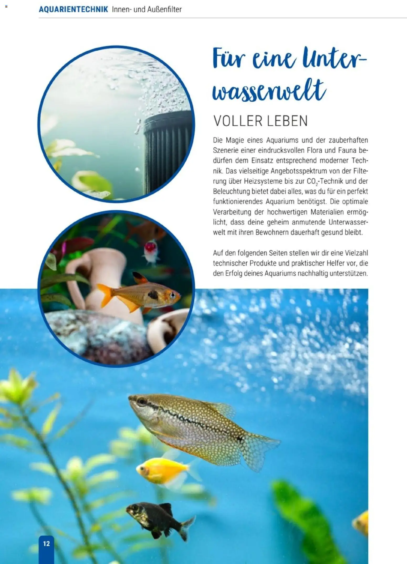 zookauf Themenkatalog Aqua – gültig ab 01.10.2026 | Seite: 12