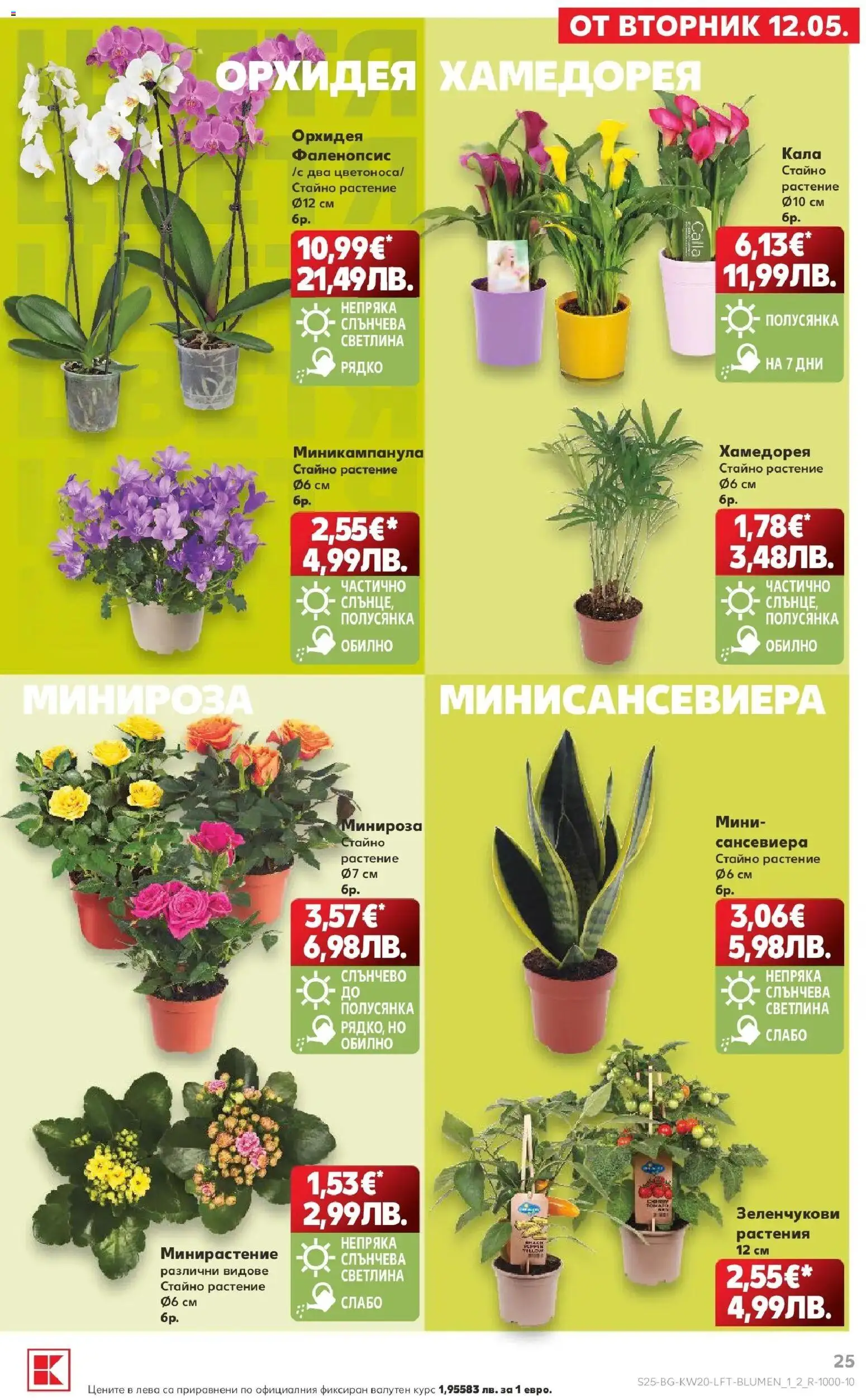 {H1} | Страница: 25 | Продукти: Орхидея