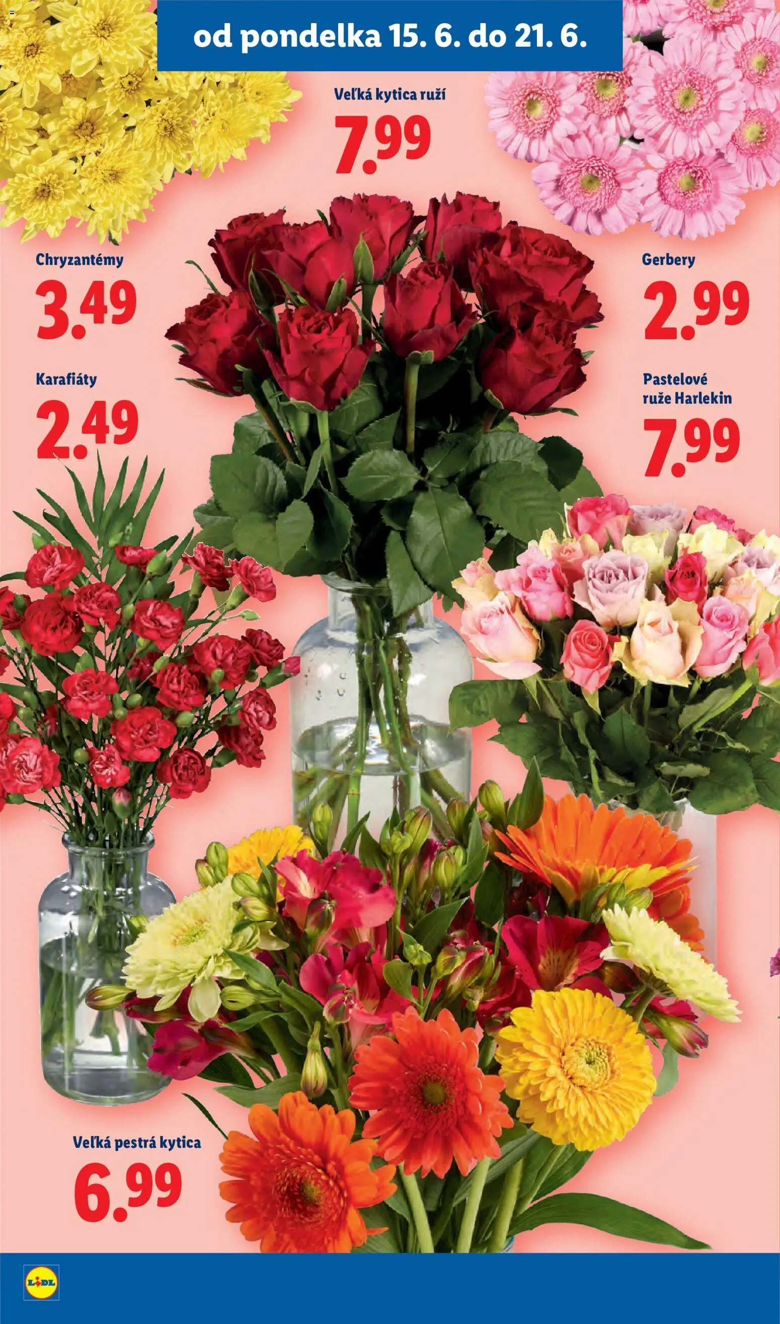 Nové Lidl akcie – leták je platný od 15.06.2026 | Strana: 44 | Produkty: Ruže