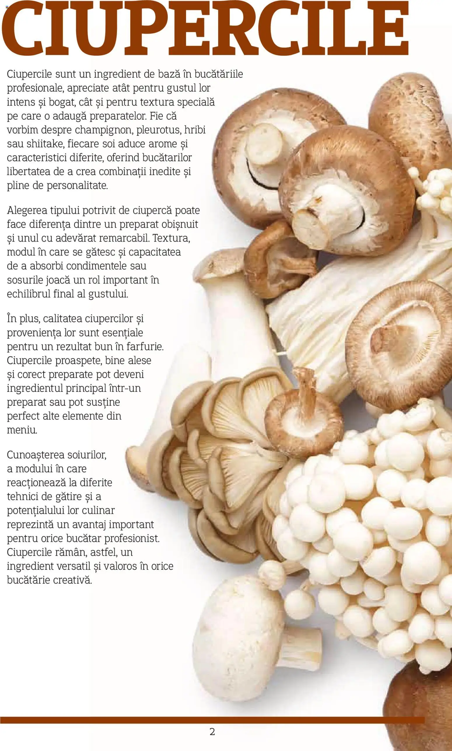 Noul catalog Metro – valabil de la 10.11.2025 | Pagină: 2 | Produse: Bucătărie