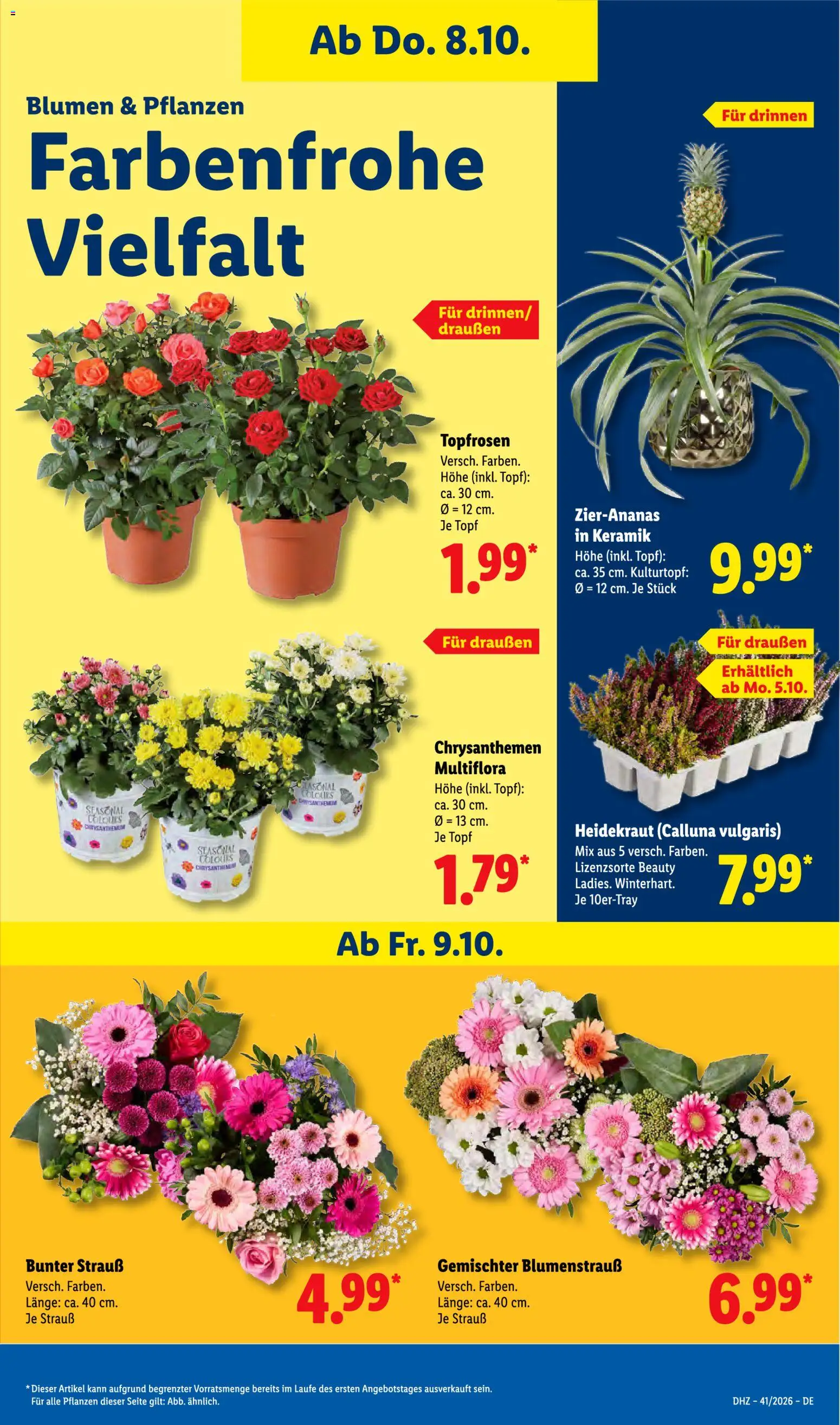 Lidl Německo leták od 05.10.2026 | Strana: 17