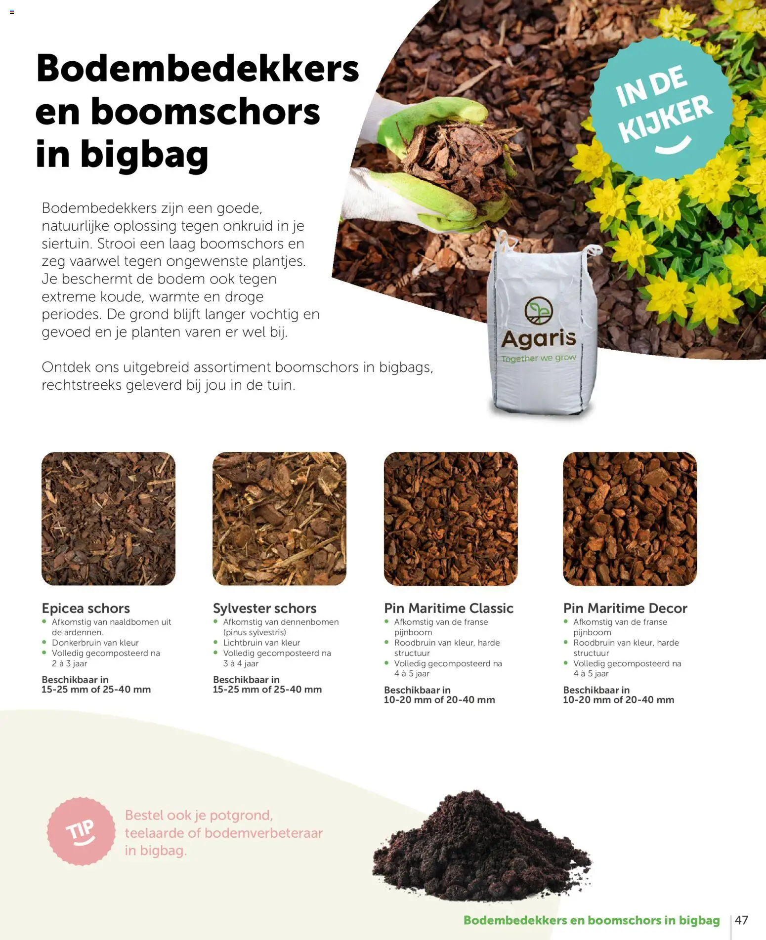 {H1} | Pagina: 47 | Producten: Pin