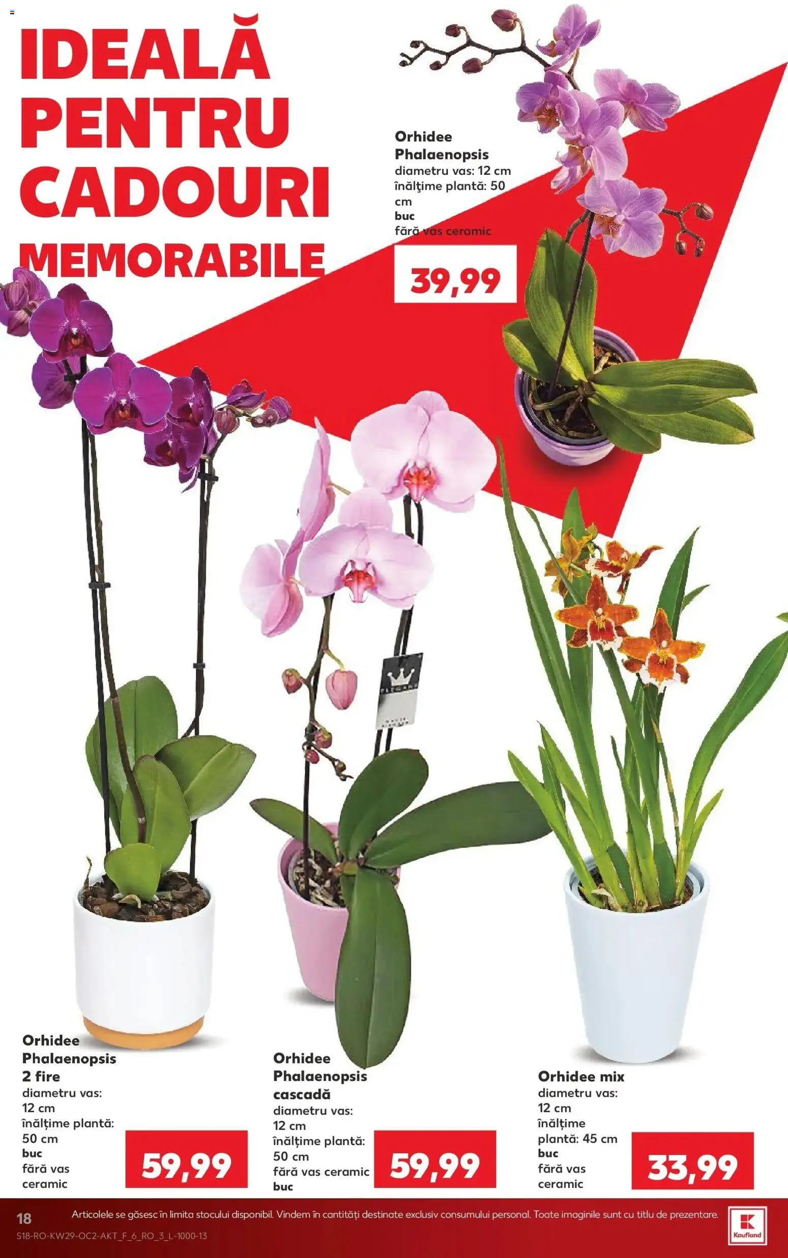 Noul catalog Kaufland – valabil de la 15.07.2026 | Pagină: 18 | Produse: Orhidee