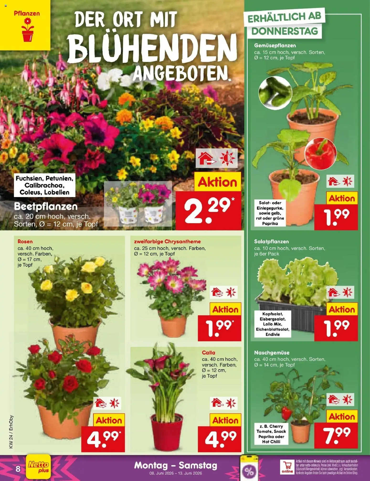 Netto Marken-Discount Prospekt Mauern – gültig ab 08.06.2026 | Seite: 12 | Produkte: Paprika, Salat