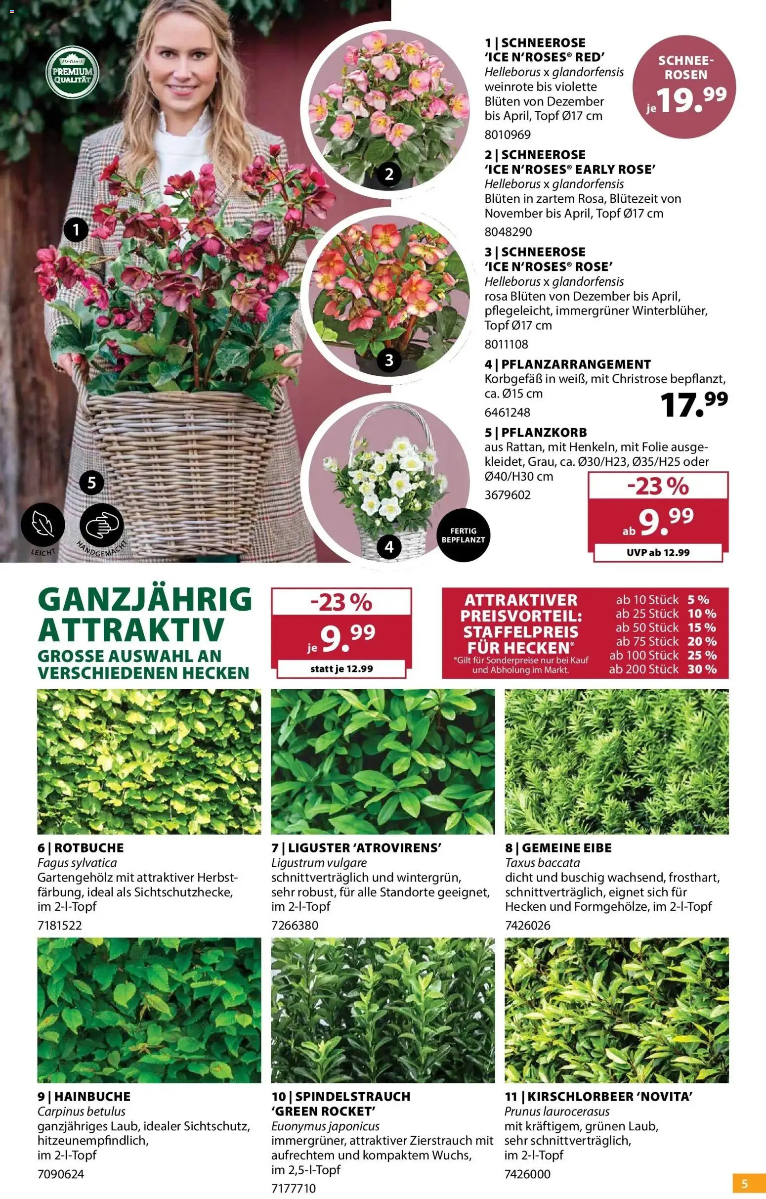 Dehner Prospekt – gültig ab 14.10.2026 | Seite: 5