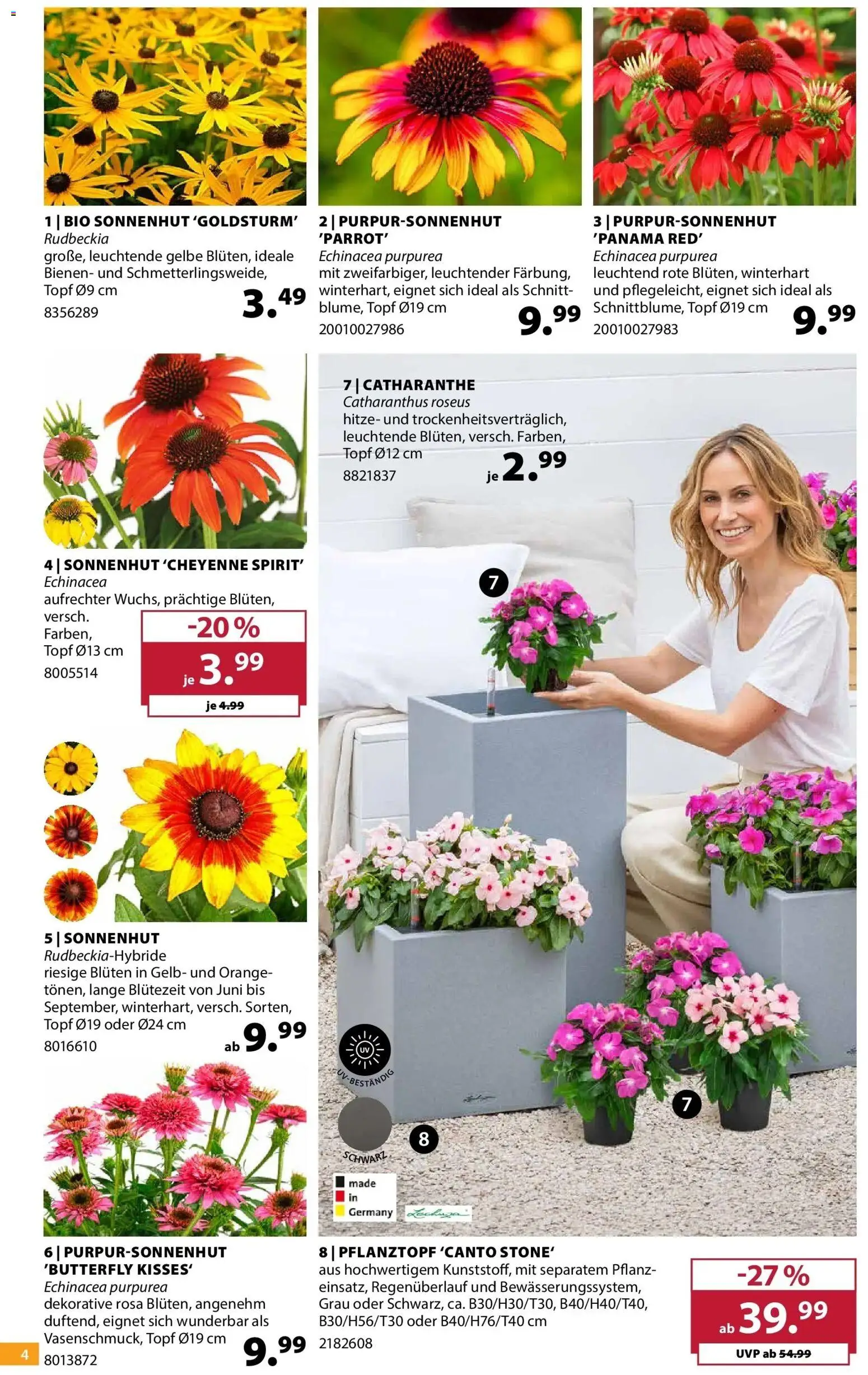 Dehner Prospekt | 24.06.2026 | Wie erhält man einen begrenzten Rabatt? | Deutschland