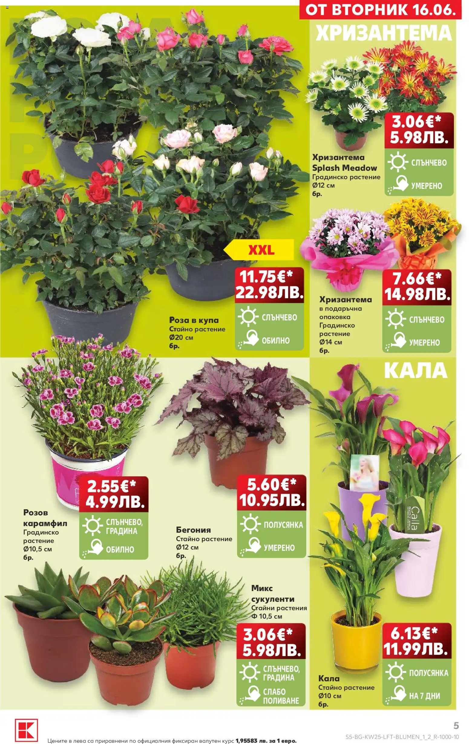 {H1} | Страница: 5 | Продукти: Хризантема, Карамфил, Купа, Роза