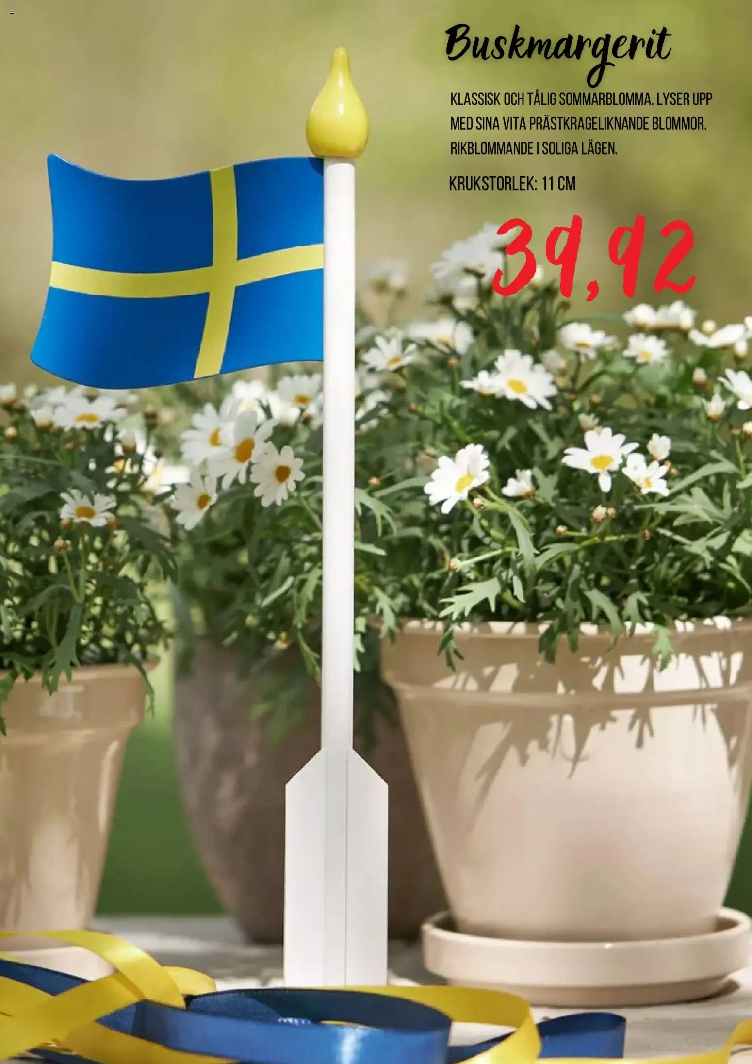 Blomsterlandet reklamblad aktuell från 24/06/2026 | Sida: 6