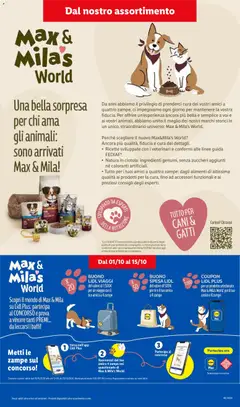 Anteprima del volantino Lidl volantino valido a partire dal 01/10/2026 | Pagina: 23 | Prodotti: Tè, Ingredienti, Ciotola