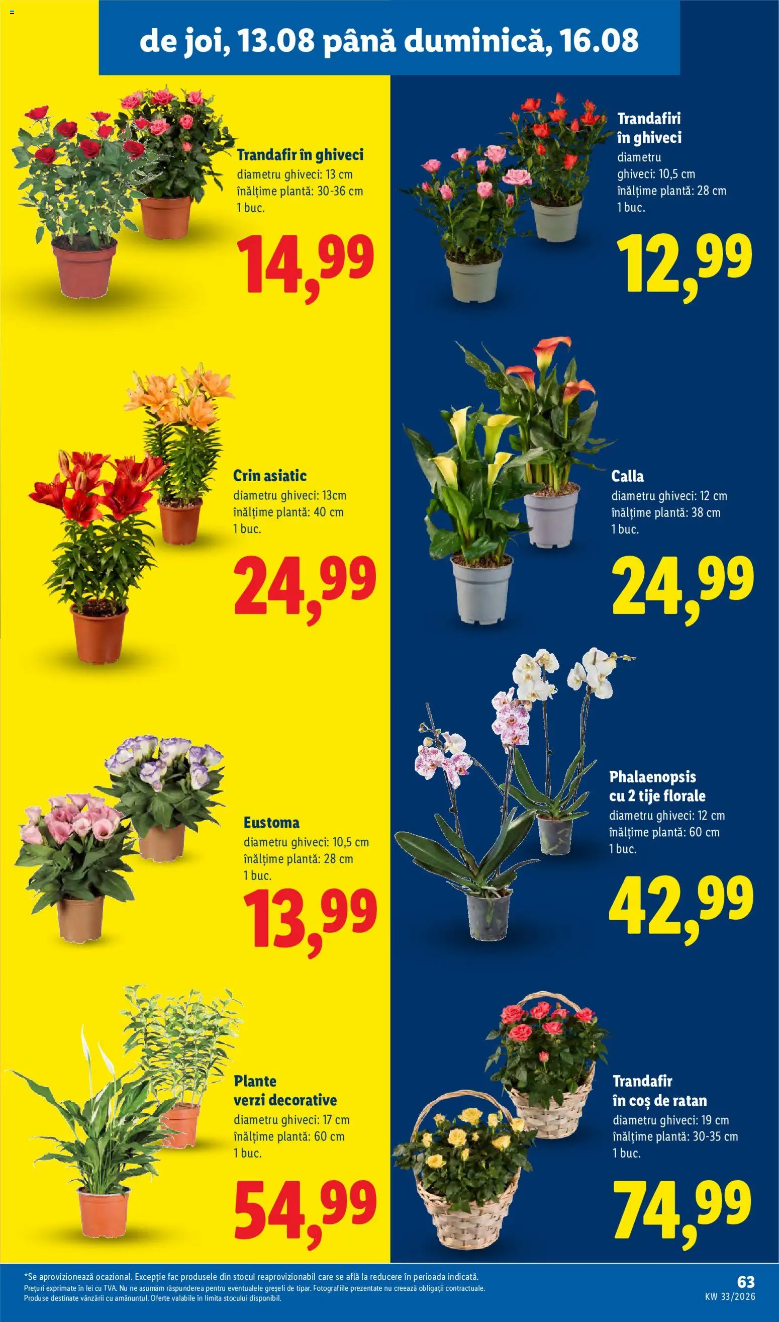 Noul catalog Lidl – valabil de la 10.08.2026 | Pagină: 63