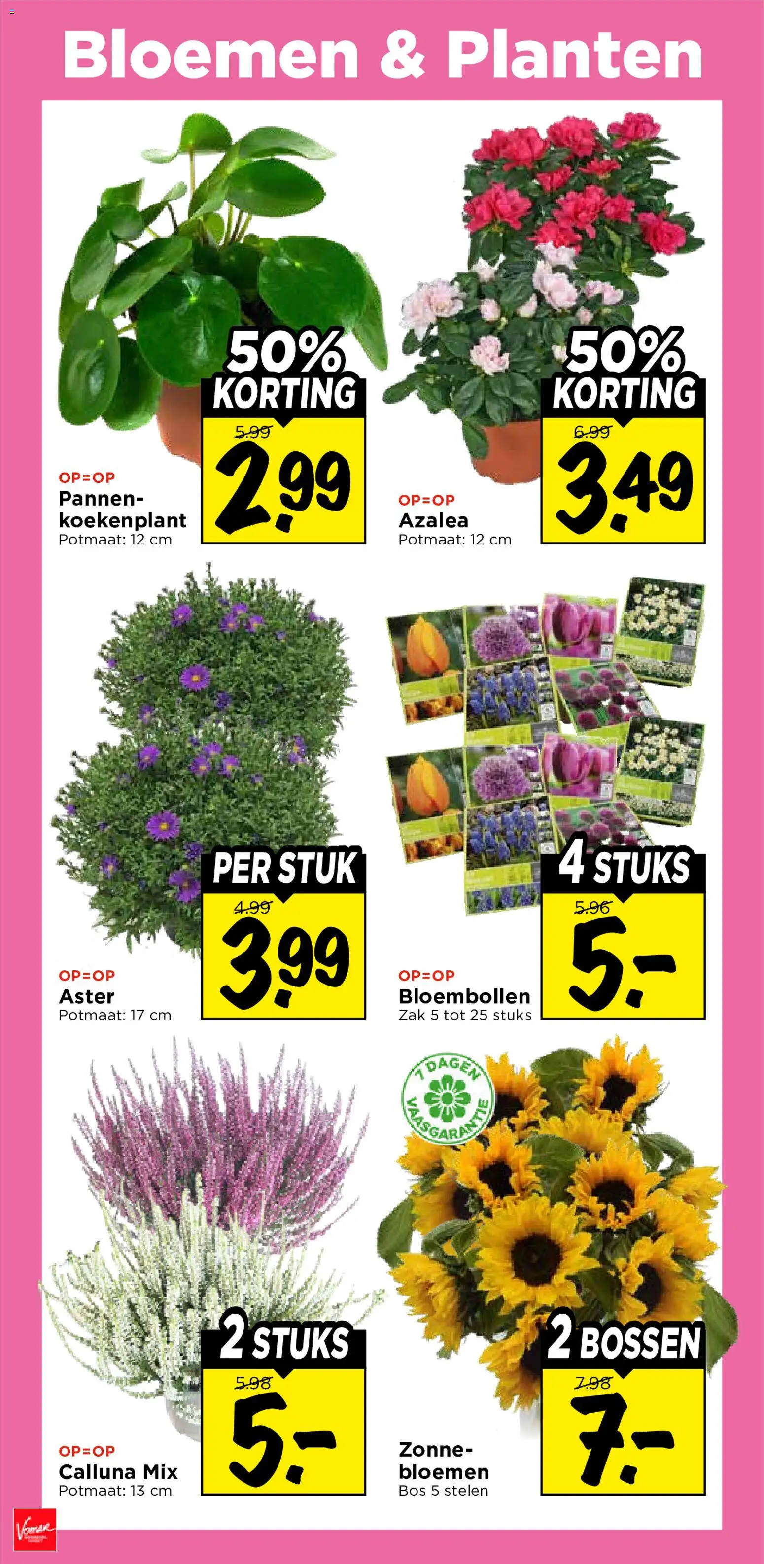 {H1} | Pagina: 34 | Producten: Pannen, Bloemen, Zak